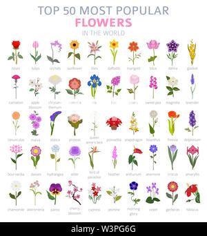 Ihr Garten guide. Top 50 der beliebtesten Blumen Infografik. Vector Illustration Stock Vektor