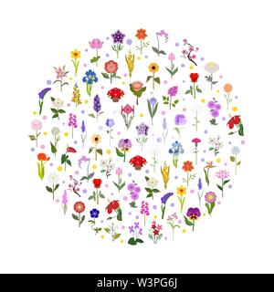 Ihr Garten guide. Top 50 der beliebtesten Blumen Infografik. Vector Illustration Stock Vektor