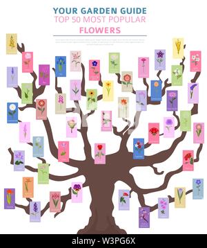 Ihr Garten guide. Top 50 der beliebtesten Blumen Infografik. Vector Illustration Stock Vektor