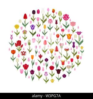 Tulip Sorten flachbild Icon Set. Garten Blumen und Zimmerpflanzen Infografik. Vector Illustration Stock Vektor