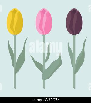 Tulip Sorten flachbild Icon Set. Garten Blumen und Zimmerpflanzen Infografik. Vector Illustration Stock Vektor