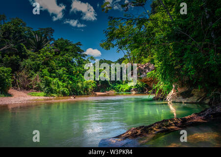 Blick auf den Fluss in der Mitte des Dschungels ich Belize fließt. Stockfoto