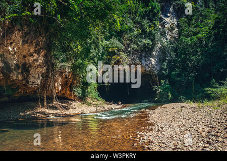 Blick auf den Fluss in der Big Rock cave in grün Efeu im Dschungel von Belize abgedeckt fließende Stockfoto