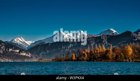 Ein goldener Herbst Tag im Berner Oberland mit Berner Alpen, Kanderdelta und Thunersee. Stockfoto