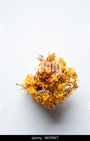 Carrageen Irisches Moos Stockfoto