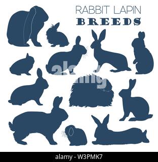 Kaninchen, Lapin-Rasse-Icon-Set. Flaches Design. Vektor-illustration Stock Vektor