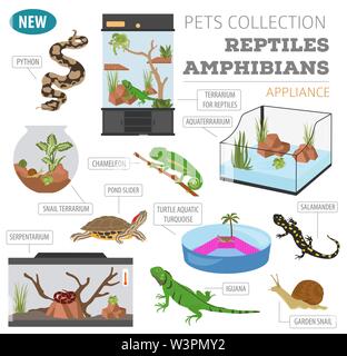 Pet-Gerät Icon Set Flat Style isoliert auf Weiss. Reptilien und Amphibien care Collection. Erstellen Sie eigene Infografik. Vector Illustration Stock Vektor