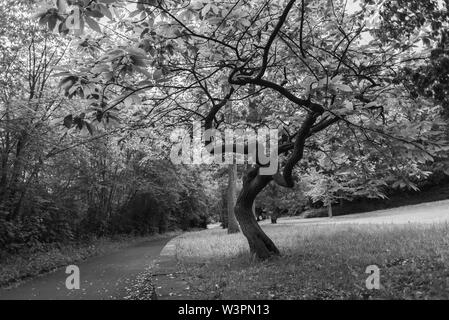 Eine Reise durch die Vergangenheit. Knoops Park in Bremen Lesum Stockfoto