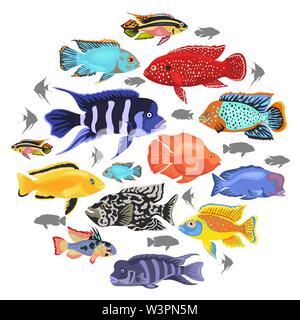 Süßwasser-Aquarium Fische Rassen Icon Set Flat Style isoliert auf Weiss. Cichliden. Erstellen Sie eigene Infografik über Haustiere. Vector Illustration Stock Vektor
