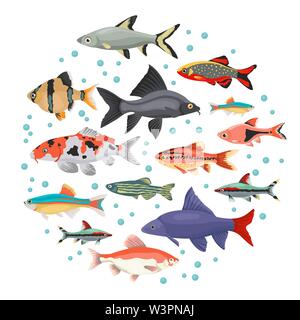 Süßwasser-Aquarium Fische Rassen Icon Set Flat Style isoliert auf Weiss. Cypriniden. Erstellen Sie eigene Infografik über Haustiere. Vector Illustration Stock Vektor