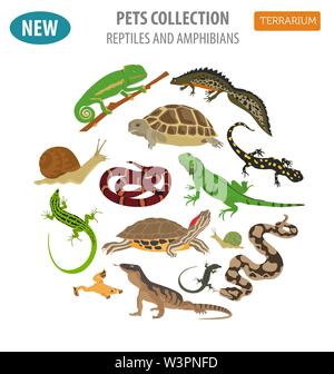 Haustier Reptilien und Amphibien Icon Set Flat Style isoliert auf Weiss. Haus Halten dieser Tiere Kollektion. Erstellen Sie eigene Infografik über Haustiere. Vektor il Stock Vektor