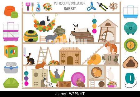 Nagetiere home Zubehör Icon Set Flat Style isoliert auf Weiss. Care Collection. Erstellen Sie eigene Infografik über Meerschweinchen, Ratten, Hamster, Chinchilla Stock Vektor