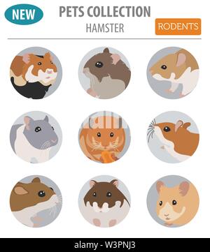 Hamster Rassen Icon Set Flat Style isoliert auf Weiss. Nagetiere Sammlung. Erstellen Sie eigene Infografik über Haustiere. Vector Illustration Stock Vektor