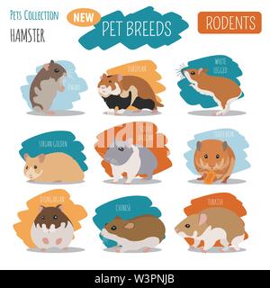 Hamster Rassen Icon Set Flat Style isoliert auf Weiss. Nagetiere Sammlung. Erstellen Sie eigene Infografik über Haustiere. Vector Illustration Stock Vektor