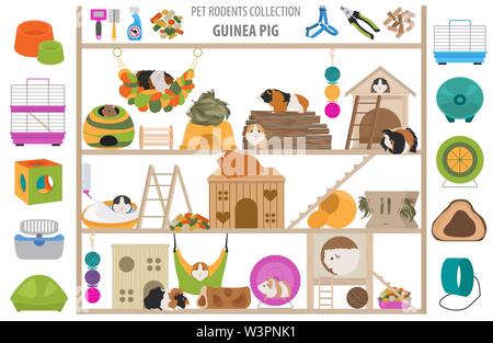 Nagetiere home Zubehör Icon Set Flat Style isoliert auf Weiss. Care Collection. Erstellen Sie eigene Infografik über Meerschweinchen, Ratten, Hamster, Chinchilla Stock Vektor