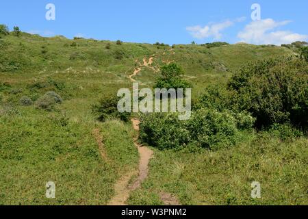 Fußweg durch Merthyr Mawr Sanddünen, die die höchsten Dünen in Großbritannien Bridgend Cymru GROSSBRITANNIEN Stockfoto