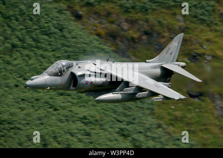 BAE Systems Harrier GR7 EINE ZD 376 24 EIN low-level in der Walisischen Truppenübungsplatz LFA7, bekannt als der Mach Loop, Dolgellau, Wales. Stockfoto