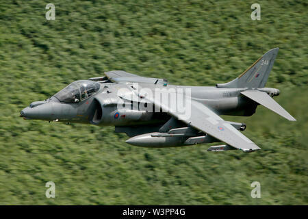 BAE Systems Harrier GR7 EINE ZD 376 24 EIN low-level in der Walisischen Truppenübungsplatz LFA7, bekannt als der Mach Loop, Dolgellau, Wales. Stockfoto