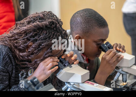 Kinder in der Wissenschaft teilnehmenden Stockfoto