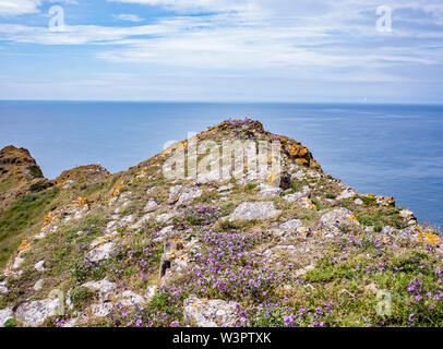 Die walisische Küste Weg, Gower, South Wales. Blick auf die Atlantikküste von Ende Pen Thurba Kopf Stockfoto