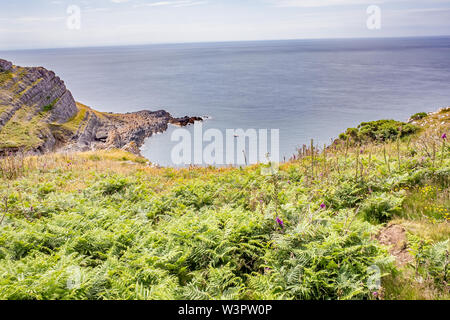 Die walisische Küste Weg, Gower, South Wales. Ein Teil der Roten Kammer Bucht von oben Stockfoto