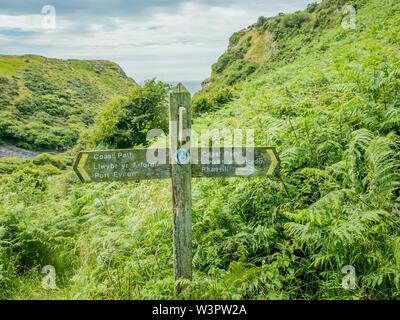 Die walisische Küste Weg, Gower, South Wales. Holz- Marker Punkt und Richtung Zeichen zwischen Port Eynon und Rhossili Stockfoto