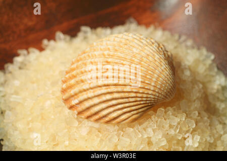 Makro von Sea Shell auf Stapel von Salzkristallen in Houten. Spa und Wellness Therapie Stockfoto