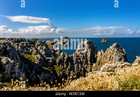 Camaret-sur-Mer. Tas de Pois von Pointe de Pen-Hir, Halbinsel Crozon, Finistère, Frankreich Stockfoto