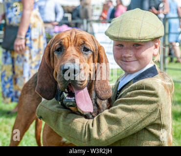 Festival der Jagd, Peterborough, Großbritannien. 17. Juli 2019. Das jährliche Festival der Jagd ist eine eintägige Veranstaltung bietet die größte Versammlung der Hunde im Land. Falken, Spürhunde, Basset Hounds, Draghounds und Bluthunde wird zusammen mit Displays von fiel Jagdhunde konkurrierenden, Coursing Hunde und die beliebten Sealey Terrier. Credit: Matt Extremität OBE/Alamy leben Nachrichten Stockfoto