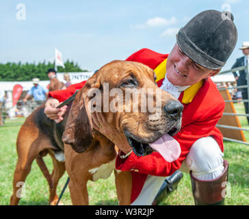 Festival der Jagd, Peterborough, Großbritannien. 17. Juli 2019. Das jährliche Festival der Jagd ist eine eintägige Veranstaltung bietet die größte Versammlung der Hunde im Land. Falken, Spürhunde, Basset Hounds, Draghounds und Bluthunde wird zusammen mit Displays von fiel Jagdhunde konkurrierenden, Coursing Hunde und die beliebten Sealey Terrier. Credit: Matt Extremität OBE/Alamy leben Nachrichten Stockfoto