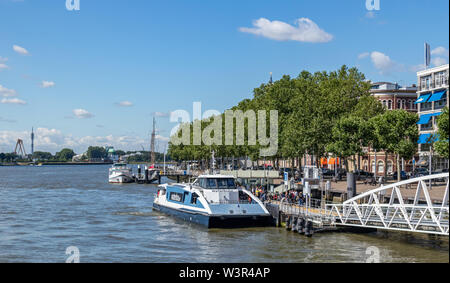 Rotterdam, Niederlande. Juli 2nd, 2019. Wasser Bus Station in Maas, City Tour und Transport Stockfoto