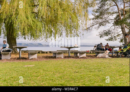 Park mit grünen Bäumen am See in der Schweiz. Blauer Himmel und die Natur. Wunderschöner Ort zum Wandern Stockfoto