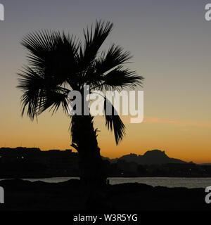 Sonnenuntergang in Denia, Spanien. Umrisse einer Zwergpalme. Stockfoto