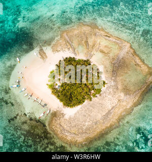 Guyam Insel Siargao, Philippinen. Kleine Insel mit Palmen und weißem Sandstrand. Die philippinischen Inseln. Stockfoto