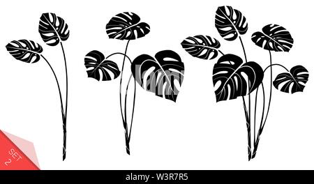 Der Vektor monstera Blätter auf weißem Hintergrund. Exotische tropische Pflanzen. Design Element für Karte, Drucken, Tapeten, Pflanzen Shop, Reisebüro Stock Vektor