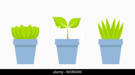 Grünpflanzen in blauen Töpfen Symbole. Vector Illustration. Stock Vektor