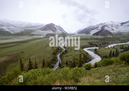 Fluss durch ein grünes Tal mit den Bergen am Horizont mit Schnee bedeckt. Reisen Kirgisistan. Stockfoto