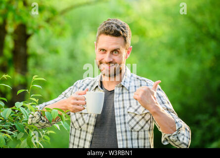Gesunde Lebensweise. Ich bevorzuge grünen Tee. Erfrischendes Getränk. Man bärtige Kaffee Bauer halten Becher Natur Hintergrund. Grüner Tee Plantage. Vollständige blatt Tee. Angenehmen Moment der Self Care. Natürliche trinken. Stockfoto