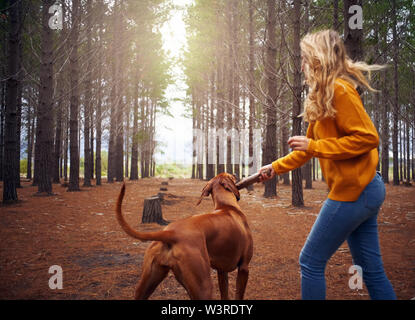 Junge Frau, die das Spielen mit Ihrem Hund im Wald Stockfoto