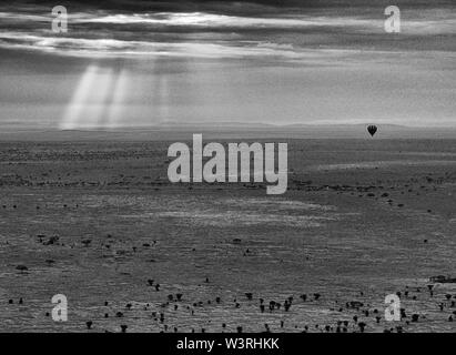 Blick auf die Serengeti Park von einem Heißluftballon Antenne Fahrt einschließlich Migration der Gnus Schuß im Juni, 2019 Stockfoto