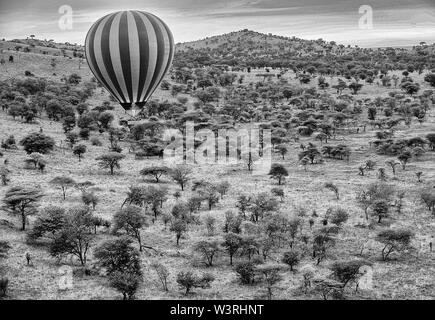 Blick auf die Serengeti Park von einem Heißluftballon Antenne Fahrt einschließlich Migration der Gnus Schuß im Juni, 2019 Stockfoto