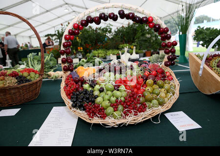 Knutsford, Großbritannien, 17. Juli 2019. Eine gewinnende Obst Anzeige bei der jährlichen RHS flower show, Tatton Park, Knutsford, Cheshire, UK. Quelle: Barbara Koch/Alamy leben Nachrichten Stockfoto