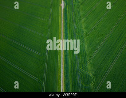 Antenne Landschaft Blick auf frischen grünen landwirtschaftliche Felder im Frühling. Von oben nach unten Blick von oben, Feld Pfad und Traktorspuren in geometrischen Formen. Stockfoto