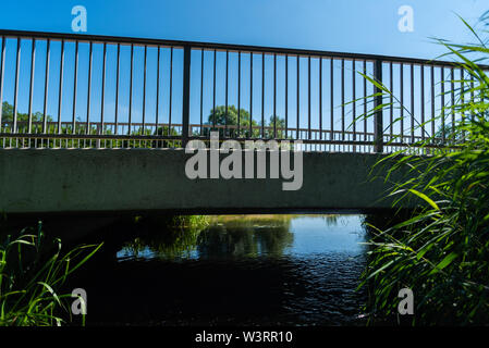 Fokussierte Motive können bei einem Spaziergang durch die Natur gefunden werden Stockfoto