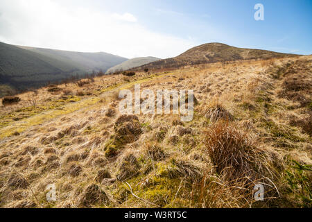 Suchen bis zu Ben Shee einen kleinen Hügel in der Nähe von Glen Devon, Schottland Stockfoto