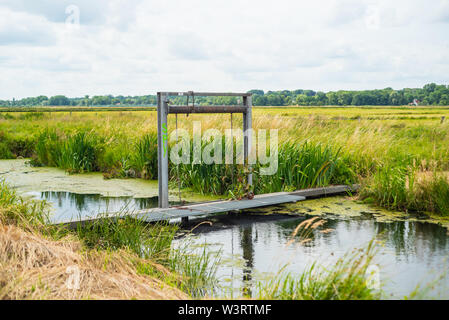 Das Wasser findet immer seinen Weg durch die Natur Stockfoto