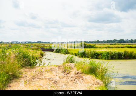 Das Wasser findet immer seinen Weg durch die Natur Stockfoto