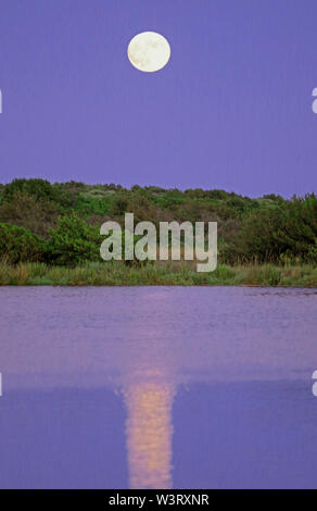 Der Mond steigt auf dem Teich von San Teodoro, Sardinien, Italien Stockfoto