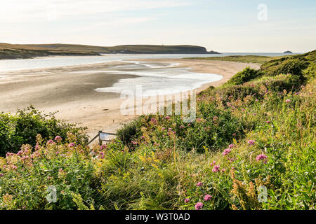 Das Kamel Mündung bei Ebbe in North Cornwall in Richtung Stepper Punkt auf der Suche an einem sonnigen Tag. Stockfoto