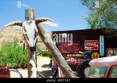 OATMAN (Arizona), USA - AUGUST 7. 2009: Schädel von Buffalo hängend an einem Pfosten vor der abgebrochenen historischen Shop Stockfoto